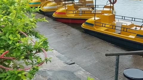 Tin Shui Wai Garden