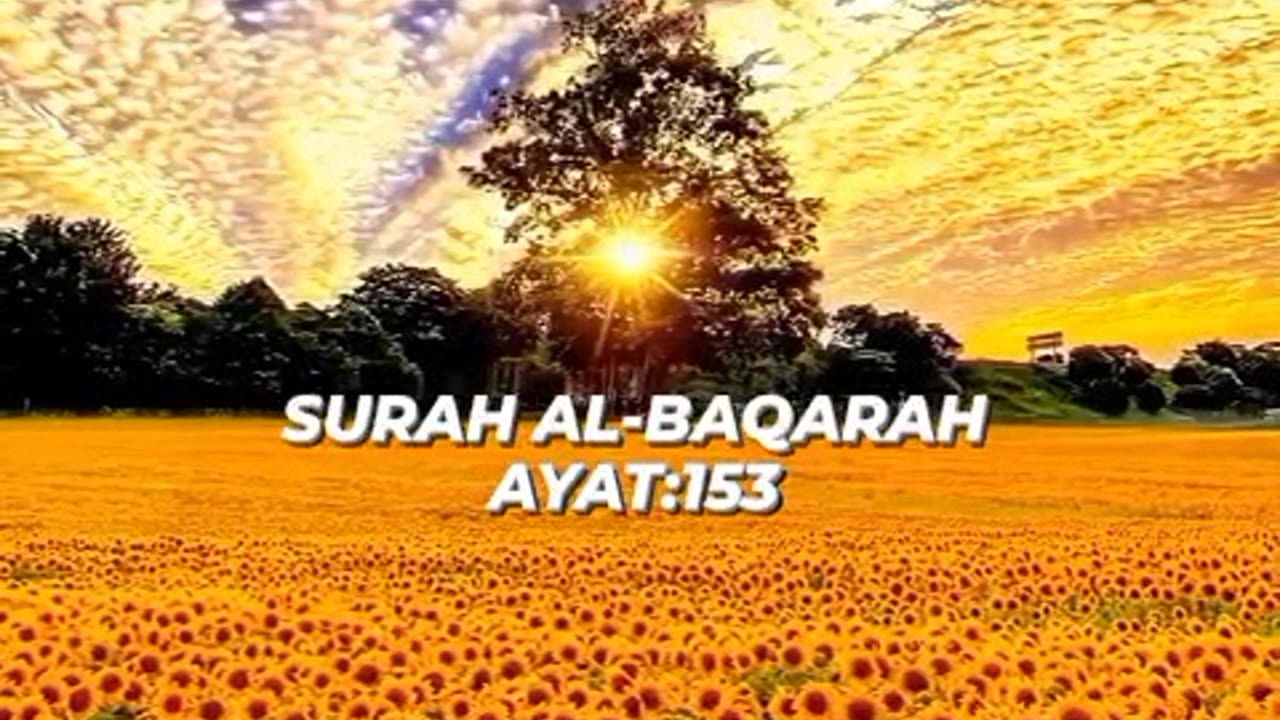 SURAH AL-BAQARAH
