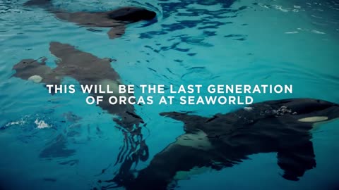 The World Is Changing And So Is SeaWorld®