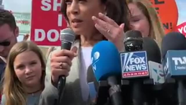 Remember when Kamala Harris was running for President