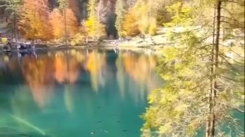 beautiful lake