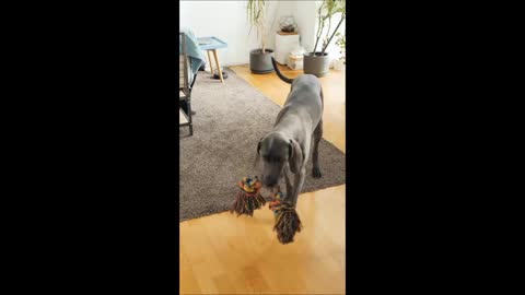 That is mine...