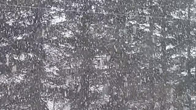 Minnesota Snow