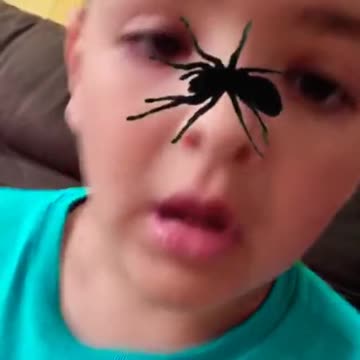 QUE SUSTO. Olha a aranha 🕷🤣🤣 #short #shorts #funny #fun