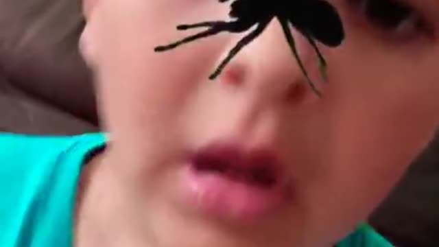 QUE SUSTO. Olha a aranha 🕷🤣🤣 #short #shorts #funny #fun