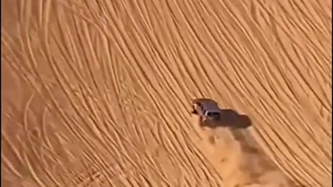 Videos top