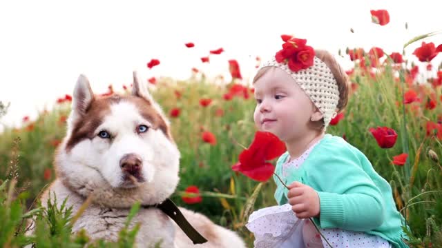 The dog Claims Baby As His Own (And It’s Perfect!)