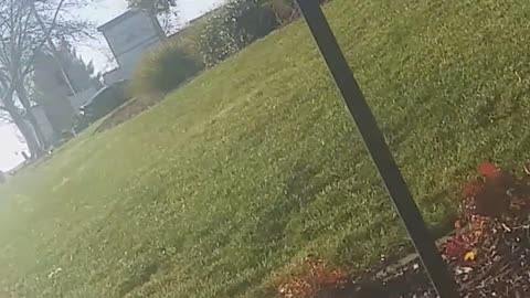 Crashed the Car They Got for Christmas