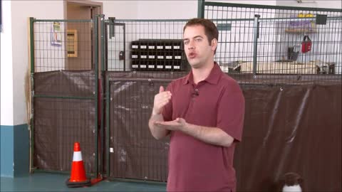 Reactive Dog Training - How to teach dogs not to lunge and bark on dogs like him or in any leash