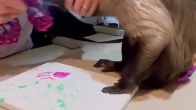 Painting!