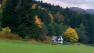 Beautiful Nature - Horses