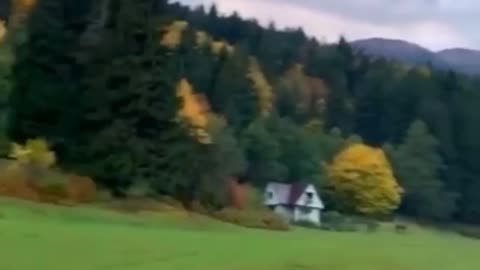 Beautiful Nature - Horses