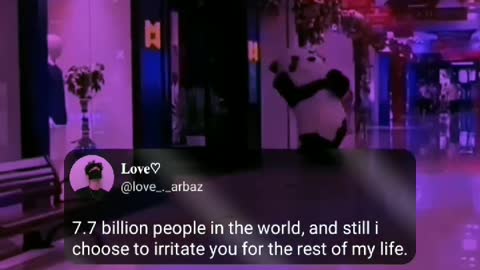 Bear🐻 and panda🐼