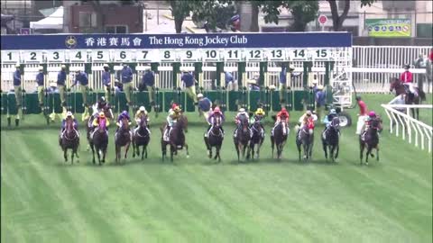 Horse_Race_2022052203_English