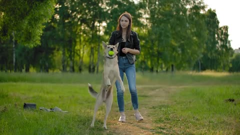 A beautiful girl throws the ball into the air. Her dog is jumping to catch the ball