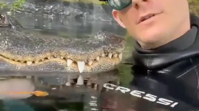 A man just enjoying with Crocodile like Friends