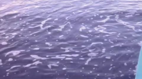 Sound of waves on Cilacap beach