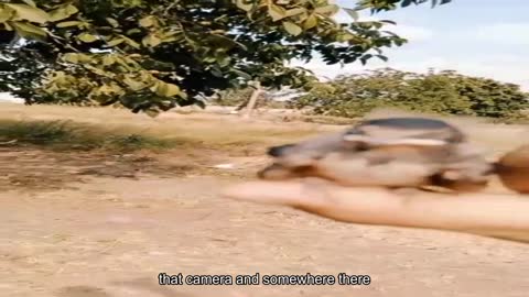 Biological weapons entered the chat Subscribe
