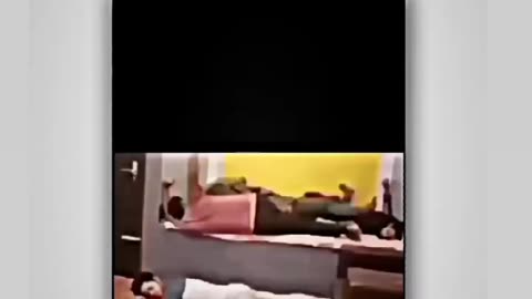 Funny videos