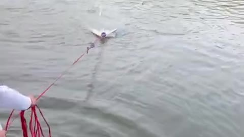 Amazing Fishing Net Videos 2021