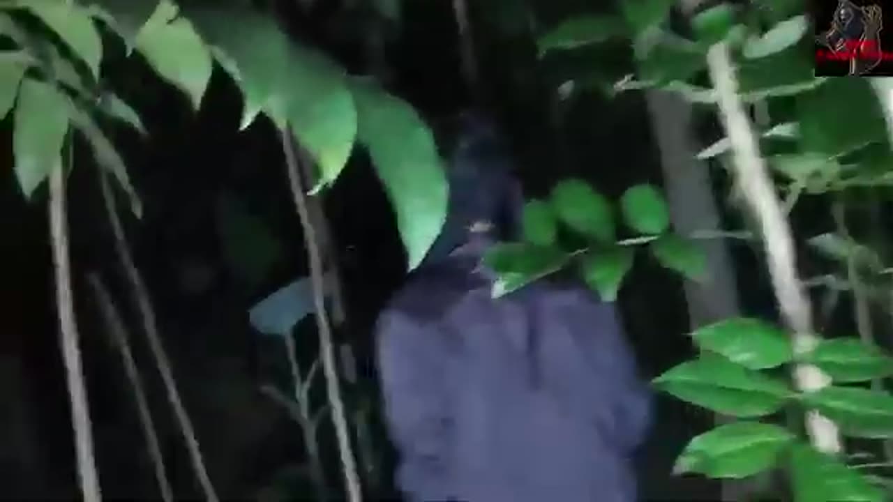 Real ghost hunting indonesia