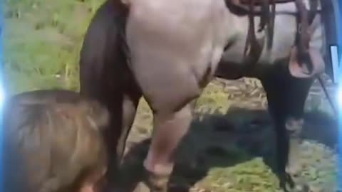 🐎💩 Horse poop - Fun & Hilarious moments Ep. 110 #rdr2 #funnyshorts #fypシ #fyp #foryou