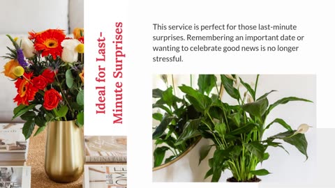 Same Day Flower Delivery Miami
