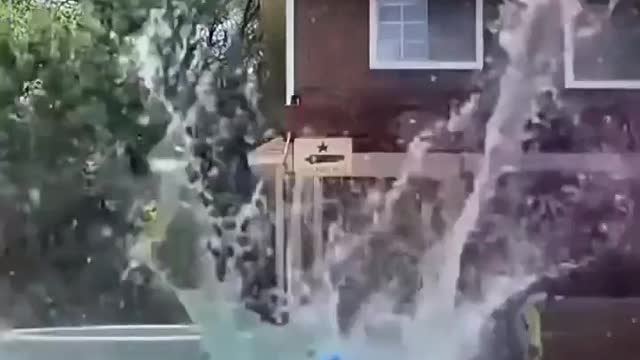 Wonderful moment appreciation