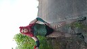 Queenofthelakecrossplay