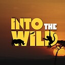 IntoTheWildAfrica