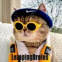 funnyanimals91