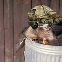 TrashPandaNVGs