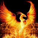 phoenixstatus8