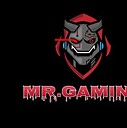 Mrgamer47