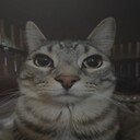 UnlawfulPanda