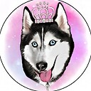 meekathehuskyy