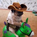 Bgoodboi