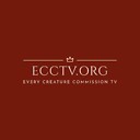 ecctv