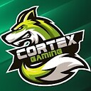 CortexGamesandReactions