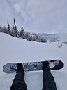 DayJobShredder