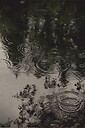 whisperingnature