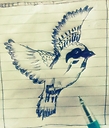 AYUSANDY
