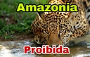 amazonia_proibida