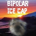 Bipolaricecap20