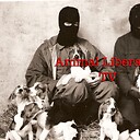 AnimalLiberationTV