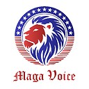 MAGAVoiceNews
