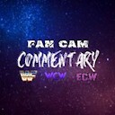 FanCamCommentary