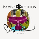 Paws4Orchids