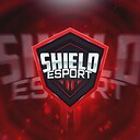 shieldshahgaming