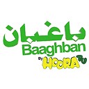 Baaghban